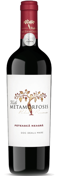 VIILE METAMORFOSIS FETEASCA NEAGRA 2021-