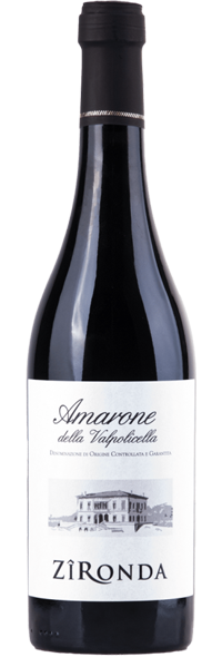 AMARONE DELLA VALPOLICELLA 2019-