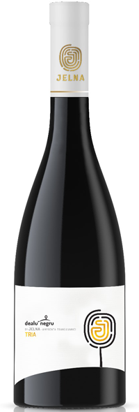 DEALU’ NEGRU BY JELNA TRIA 2023-