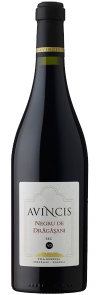 NEGRU DE DRAGASANI 2018 MAGNUM-
