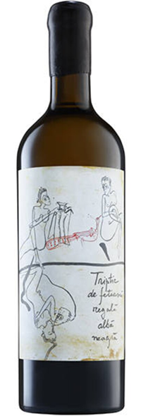 TRIPTIC 2022-