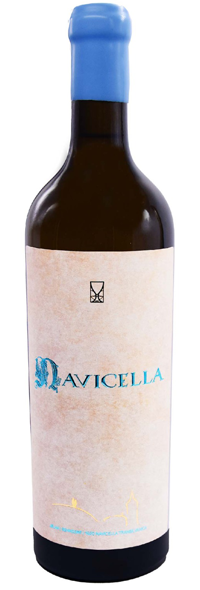 NAVICELLA ALB 2023-