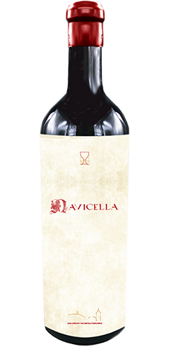 NAVICELLA ROSU 2020-