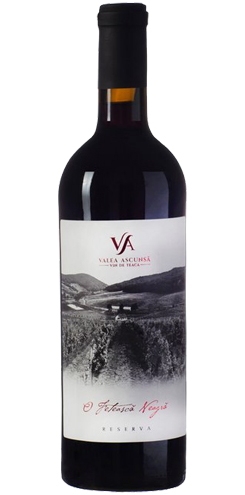 VALEA ASCUNSA FETEASCA NEAGRA RESERVA 2022-