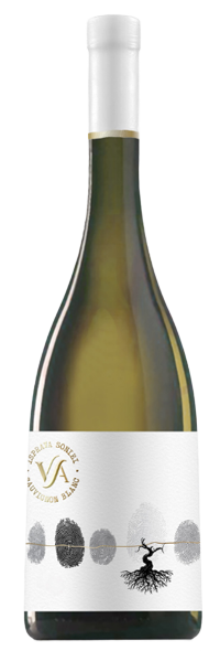 ISPRAVA SONIEI 2022-