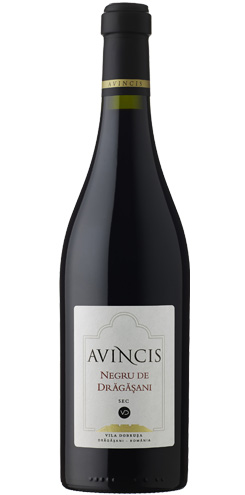 AVINCIS NEGRU DE DRAGASANI 2021-
