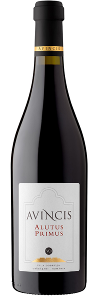 AVINCIS ALUTUS PRIMUS 2023