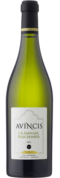 AVINCIS CRAMPOSIE SELECTIONATA 2025