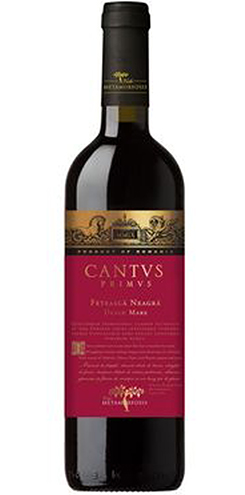 CANTUS PRIMUS FETEASCA NEAGRA 2023