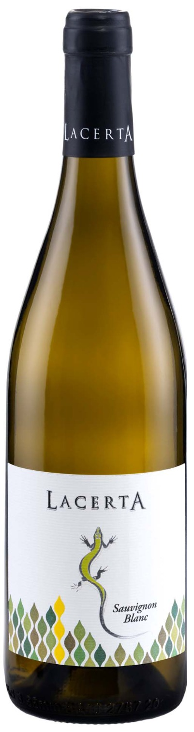 LACERTA SAUVIGNON BLANC 2025