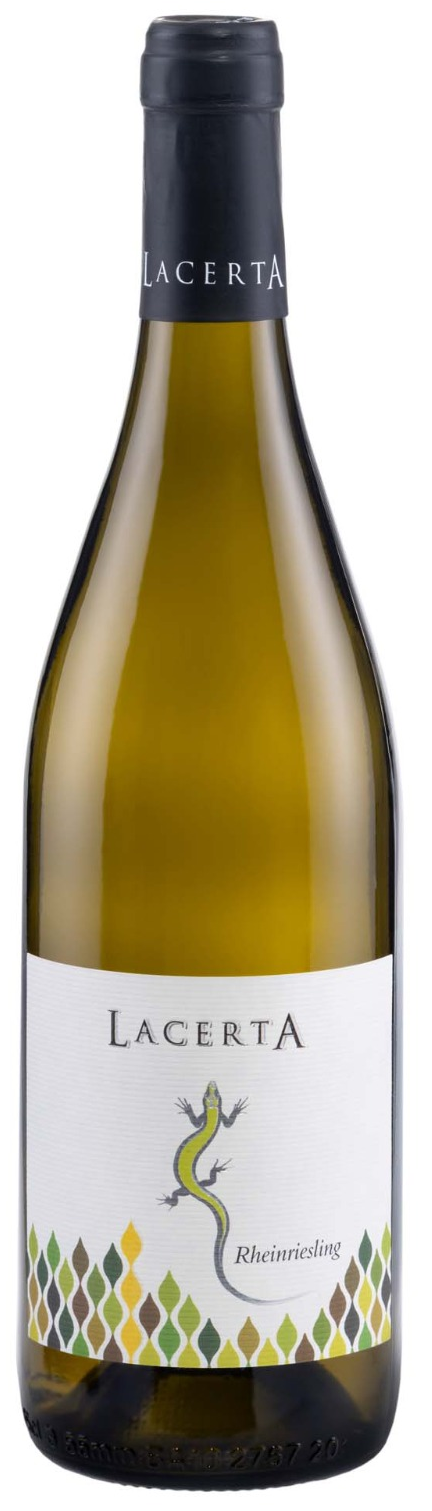 LACERTA RHEINRIESLING 2025